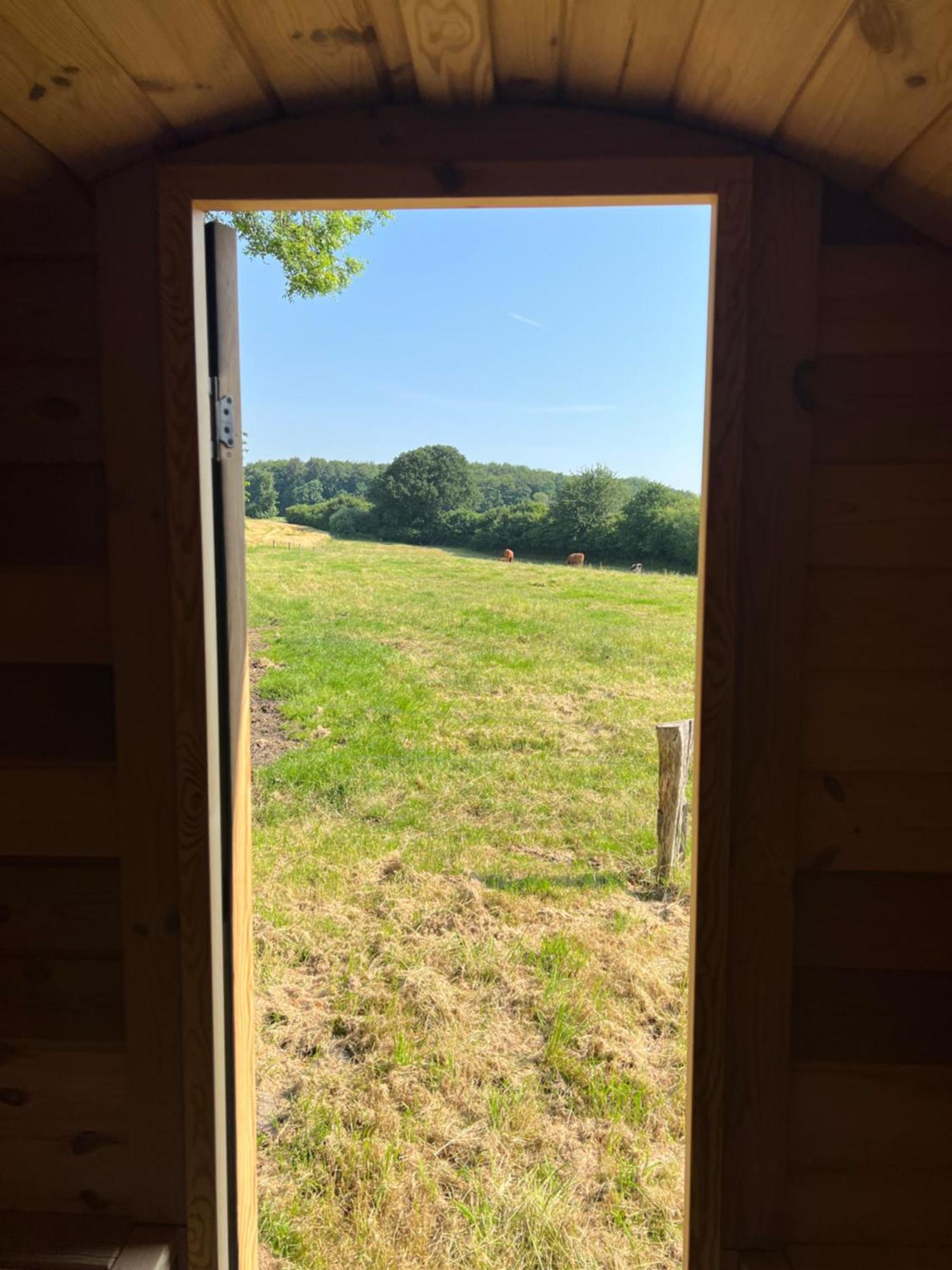 Hof Osterfeld Appartement Mittelangeln Buitenkant foto